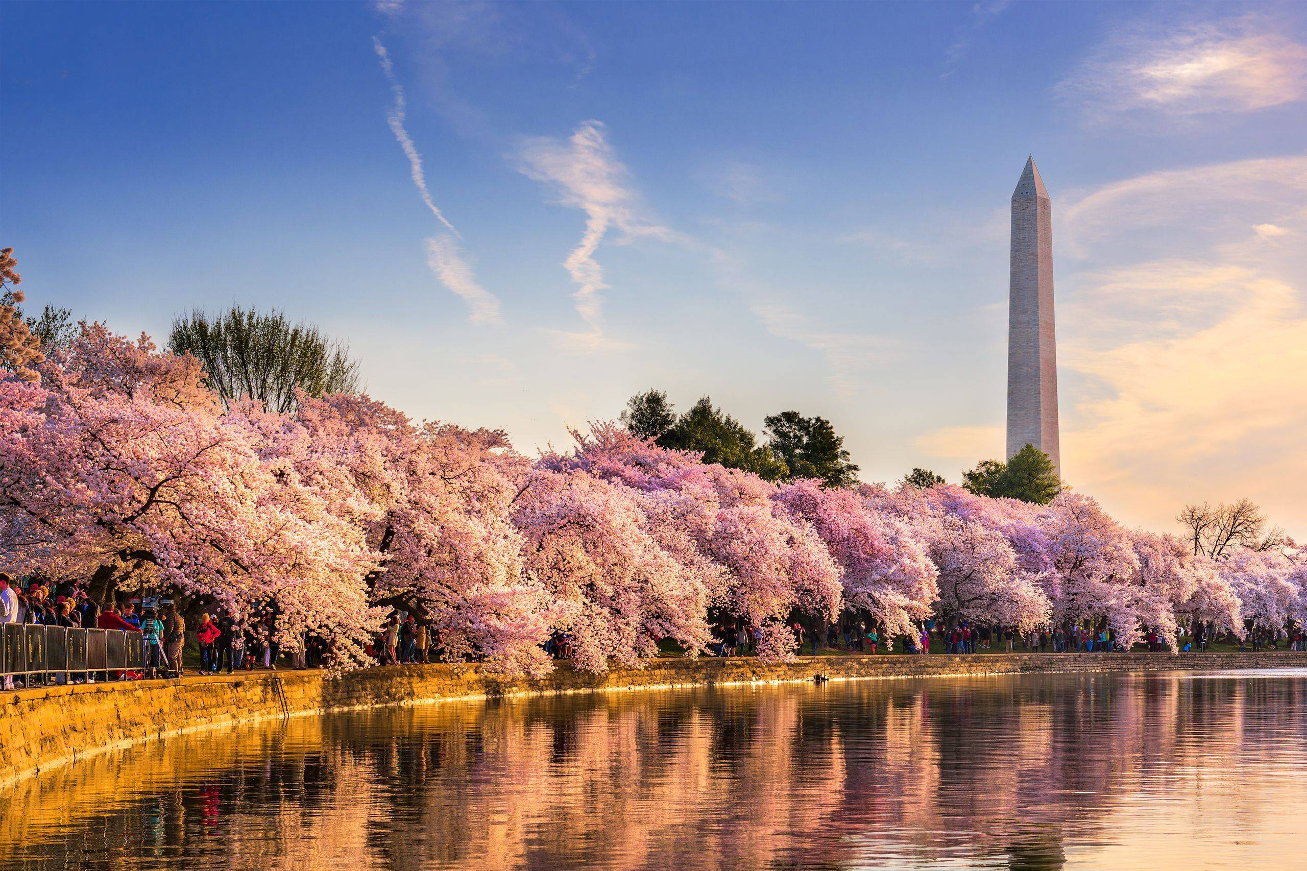 Jenner & Block | Washington, DC | Jenner & Block LLP